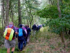 Dunnington Walk